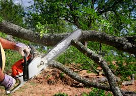 Best Soil Testing and Treatment  in Park Hills, KY